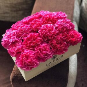 Carnations Bounty