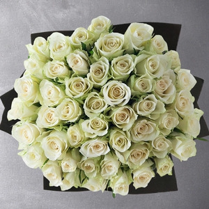 60 White Roses
