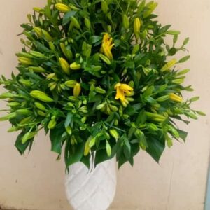 Office arrangements