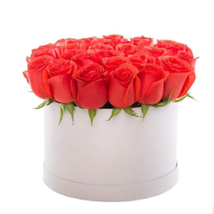 Orange Box Arrangement