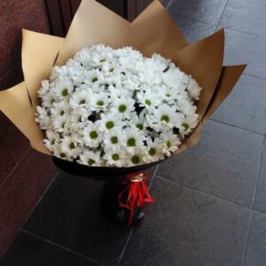 White Chrysanthemums
