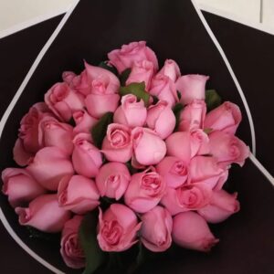 Sweet pink Roses