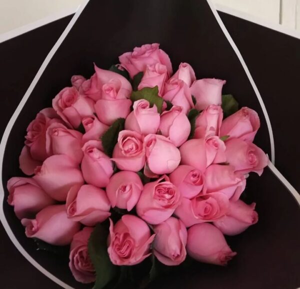 Sweet pink Roses
