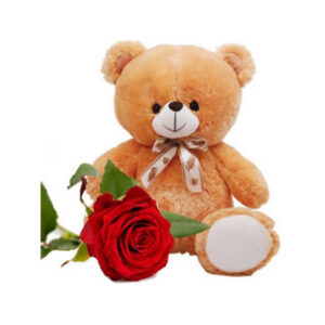 TEDDY BEAR