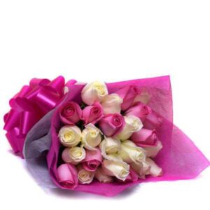 Pink and White Roses
