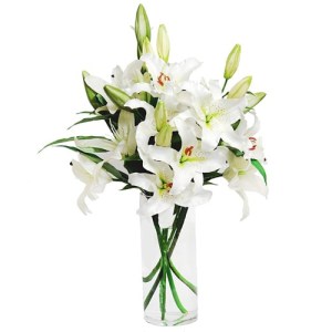 WHITE LILIES