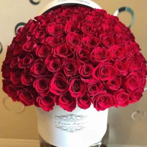 BLOOM  BLISS