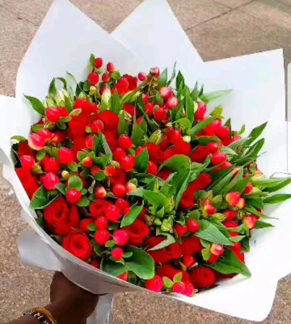 LILY LOVE