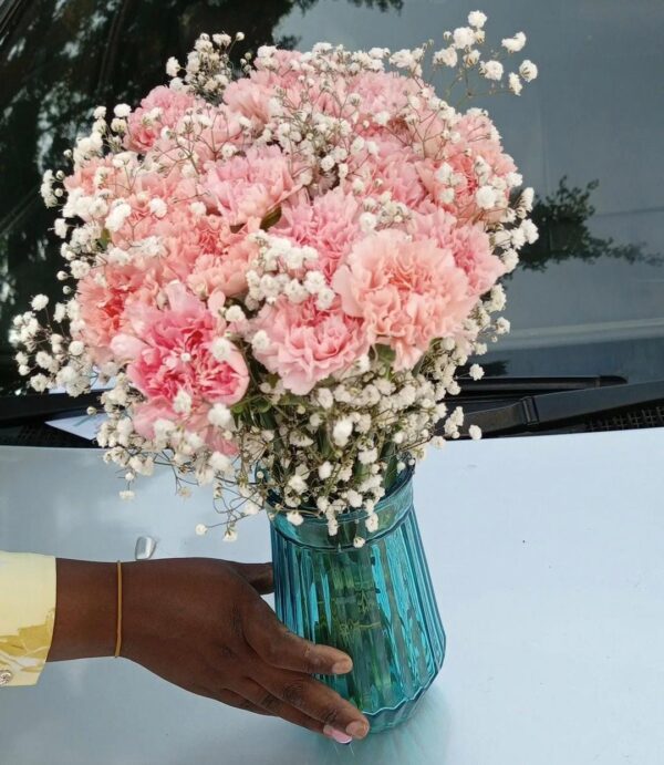 VASED CARNATION