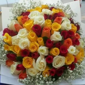 80 MIXED ROSES