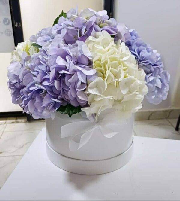 LAVENDER BREEZE