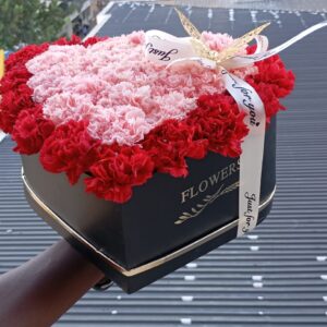 HEARTED CARNATIONS
