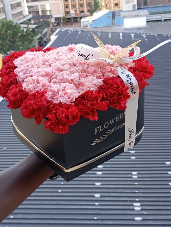 HEARTED CARNATIONS