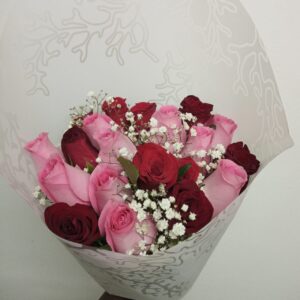 BLOOM POP