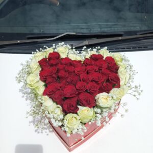 RED WHITE HEARTBOX