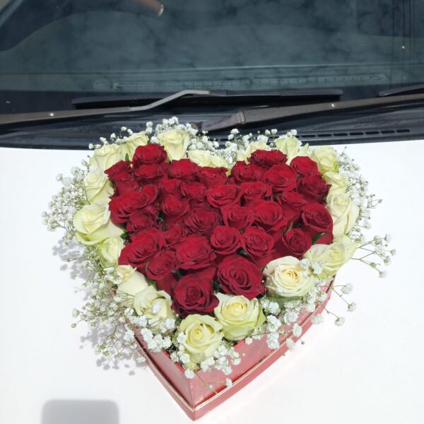 RED WHITE HEARTBOX